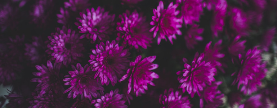 Is your website accessible enough for Purple Tuesday?